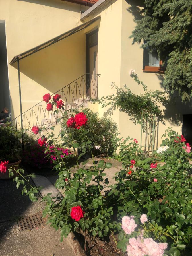 Das Kleine Haus Breitenbrunn  Exterior photo