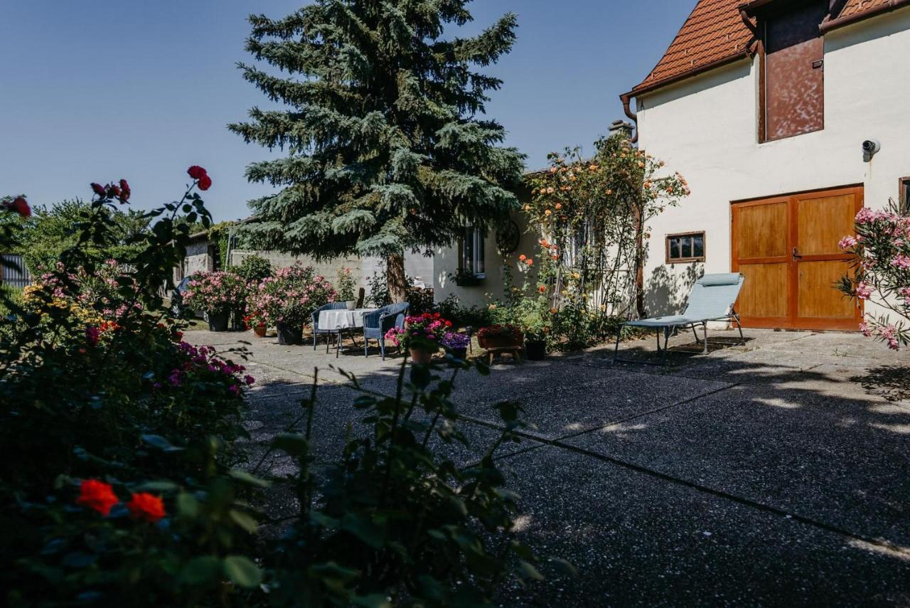 Das Kleine Haus Breitenbrunn  Exterior photo
